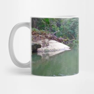 The Bush Waterhole! Mug